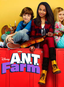Ant Farm